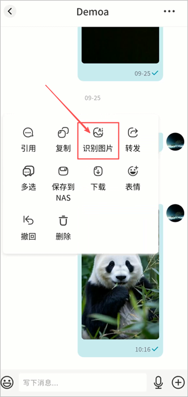 image-20251020115234452