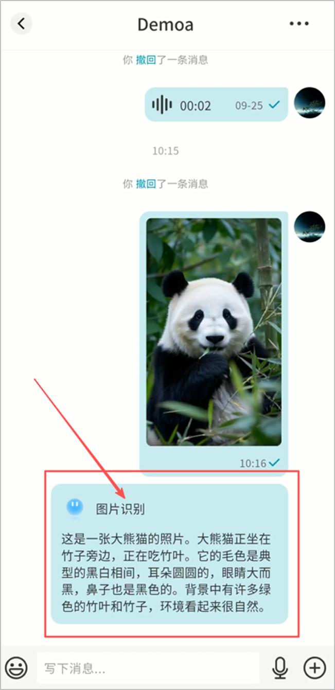 image-20251020115301151